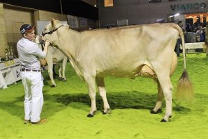 151128SC15 129_Abt 4 Rang 4 Carlos Cora von Alois Steiner SZ